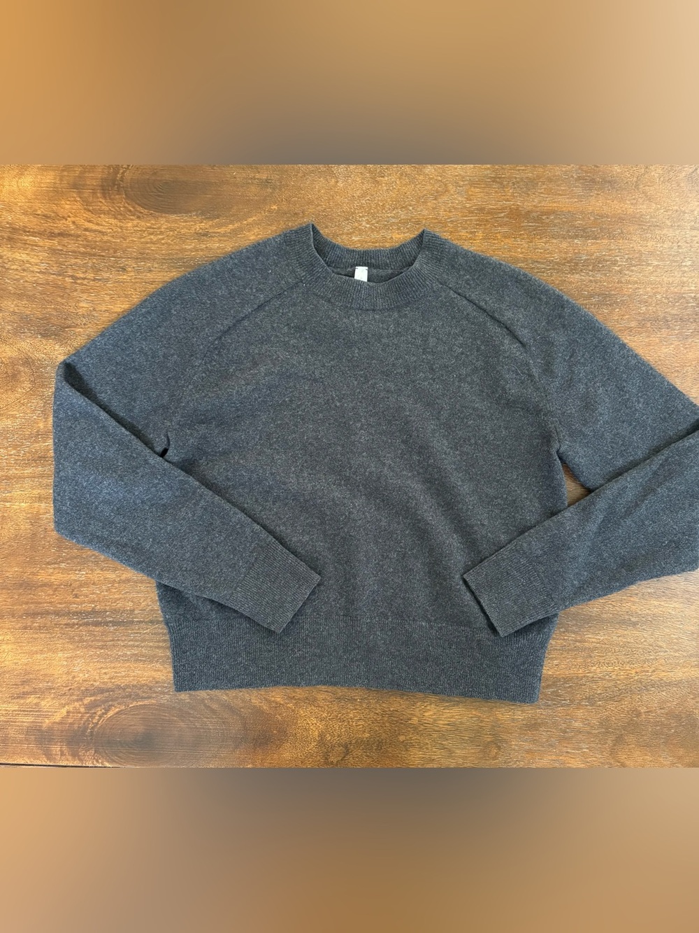Aritzia The Group by Babaton Luxe 100% Cashmere Crewneck Gray Sweater Small